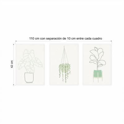 SET 3 CUADROS BOTANICA MACETAS